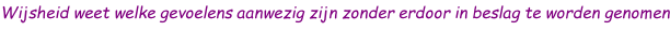 Wijsheid weet welke gevoelens aanwezig zijn zonder erdoor in beslag te worden genomen